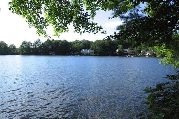 207 Whiley Road Groton, MA 01450 - Photo 1 of 14 a view of a yard with a tree