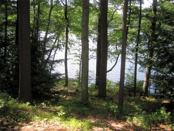 207 Whiley Road Groton, MA 01450 - Photo 12 of 14 a view of backyard of a house