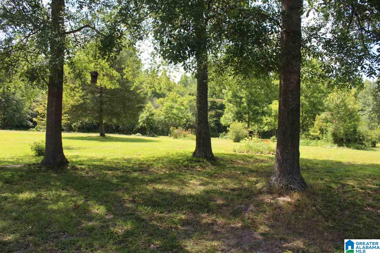 1623 Ripley Cutoff Road Carbon Hill, AL 35549 - Photo 36 of 38