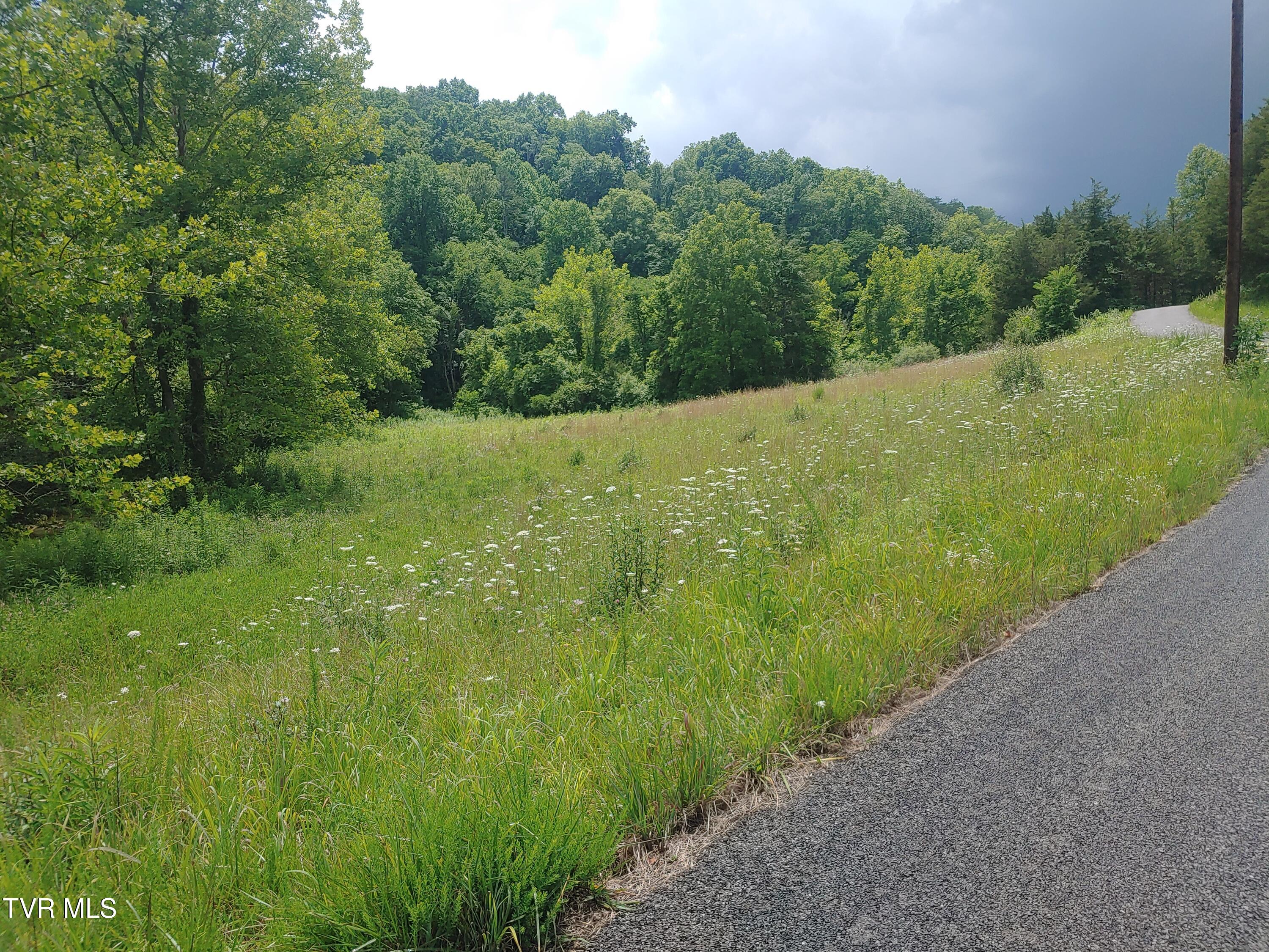 0 War Creek Road Eidson, TN 37731 - Photo 2 of 12 0705261410 (1)