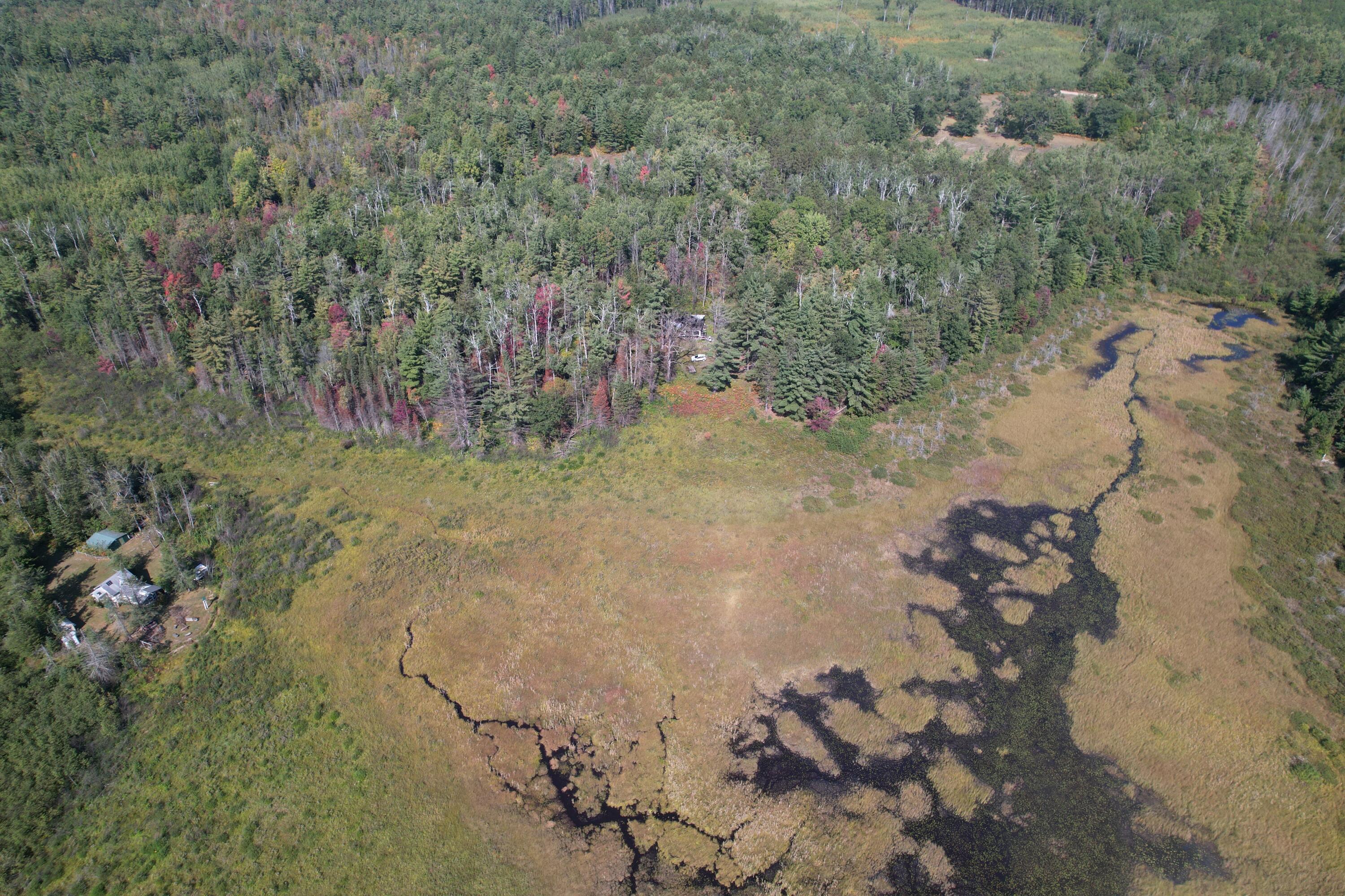 14200 Brown Road Atlanta, MI 49709 - Photo 8 of 16 dji_fly_20250917_143756_83_1758134675880