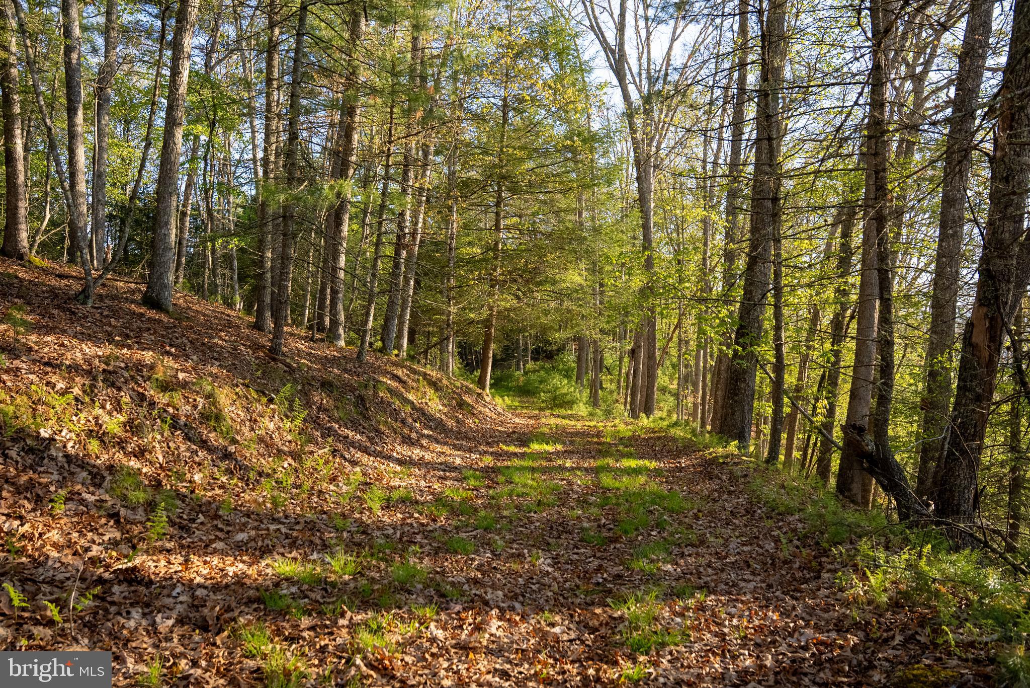 199 Green Bank Road Arbovale, WV 24915 - Photo 76 of 113