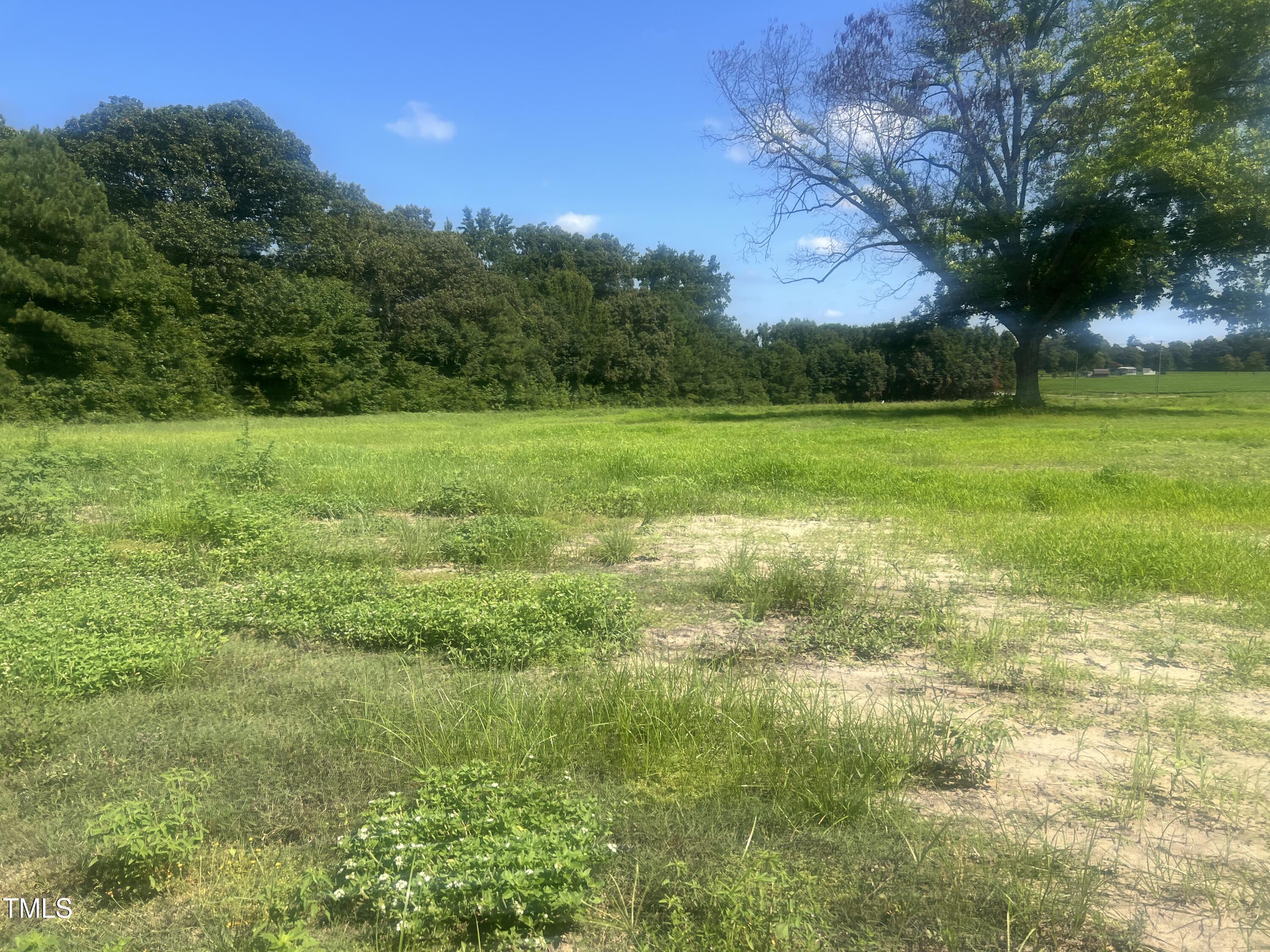 135 White Memorial Road Angier, NC 27501 - Photo 9 of 13 From Left Side