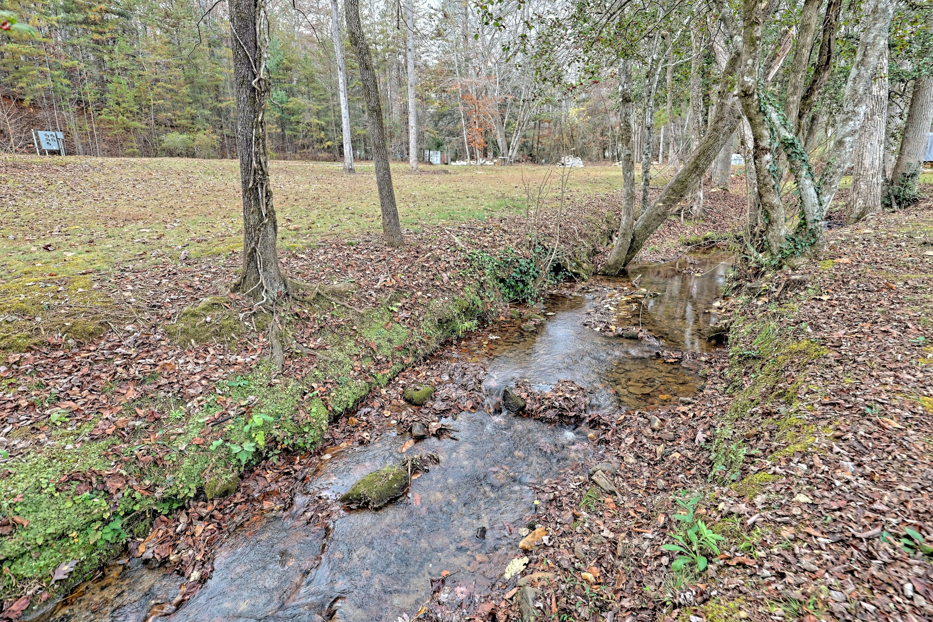 4960 Laurel Lodge Road, Unit 41 Clarkesville, GA 30523 - Photo 36 of 46 a backyard of a house with lots of green space