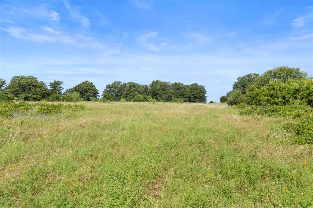 Tbd Berry Dairy Road Bryson, TX 76427 - Photo 37 of 39