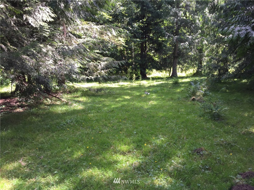 9999 Wasankari Road Port Angeles, WA 98363 - Photo 13 of 25 Gallery Image 13