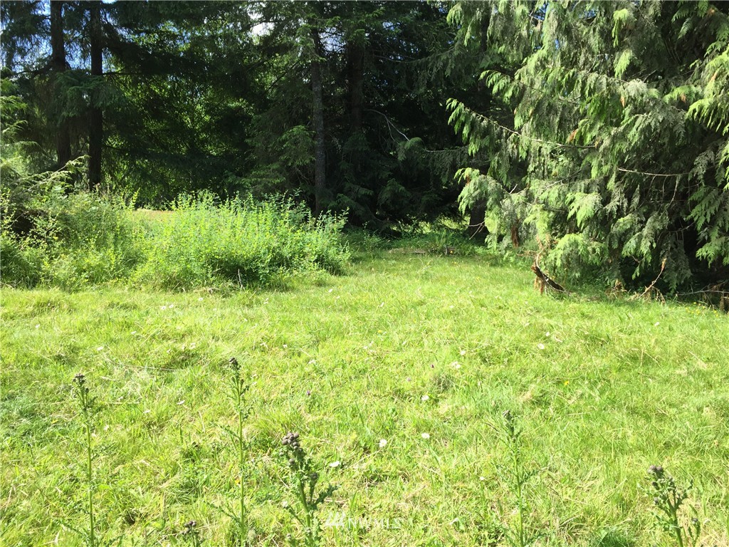 9999 Wasankari Road Port Angeles, WA 98363 - Photo 17 of 25 Gallery Image 17