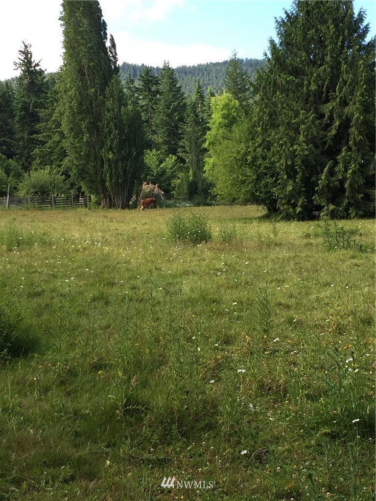 9999 Wasankari Road Port Angeles, WA 98363 - Photo 20 of 25 Gallery Image 20