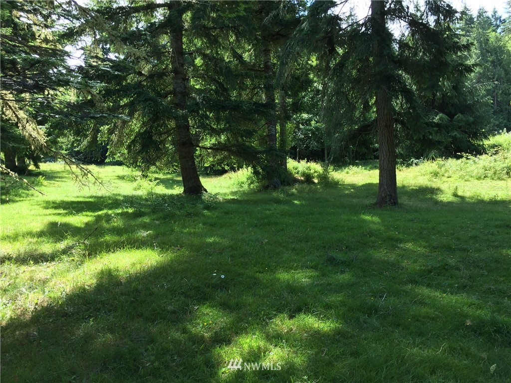 9999 Wasankari Road Port Angeles, WA 98363 - Photo 23 of 25 Gallery Image 23