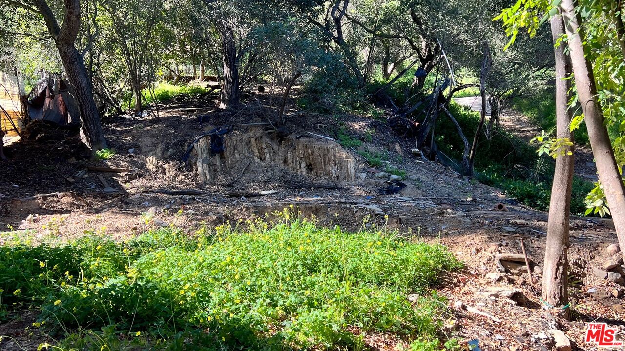 3485 Old Topanga Canyon Road Calabasas, CA 91302 - Photo 6 of 17 a view of a backyard with large trees