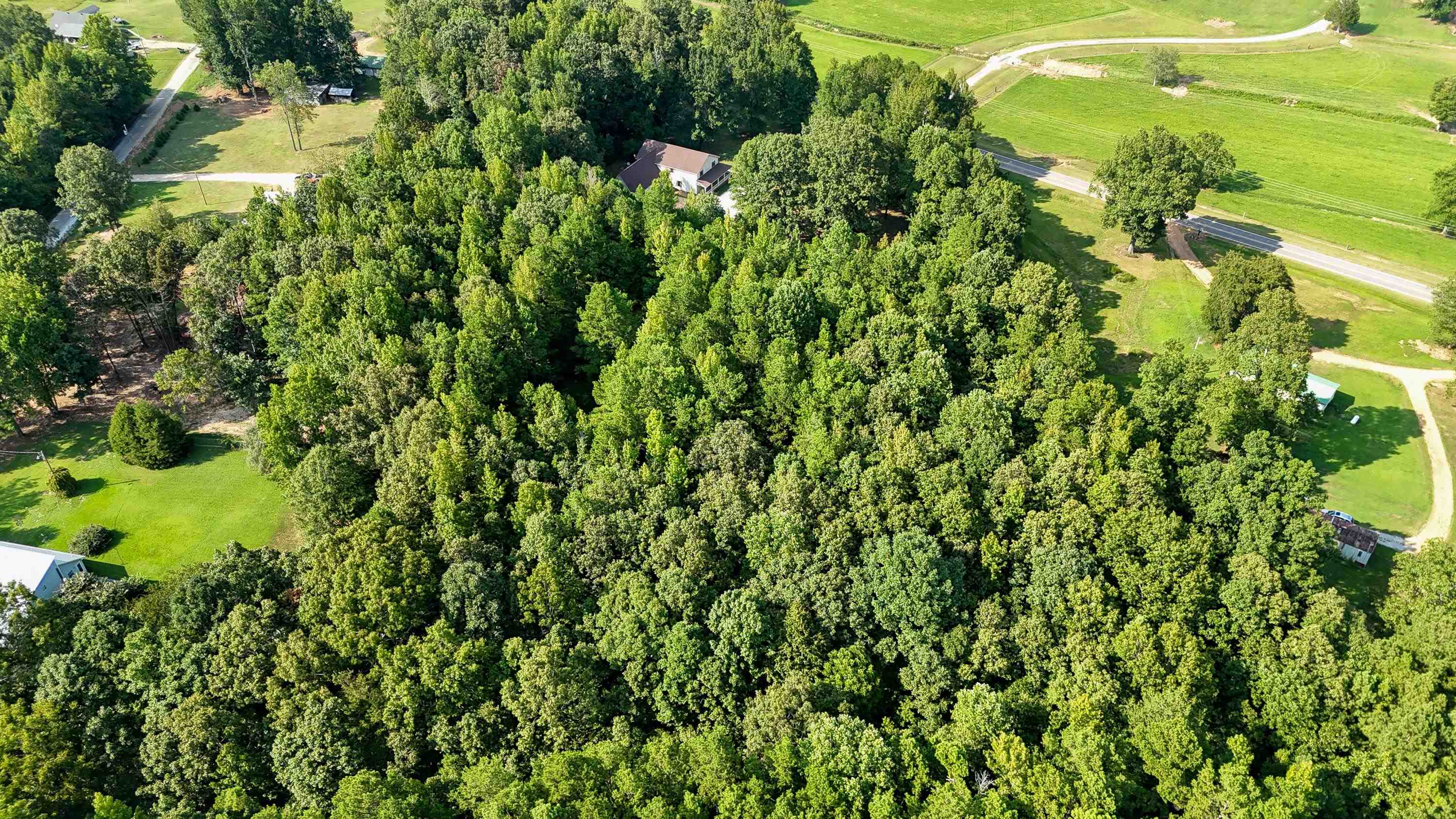 1020 County Road 600 Corinth, MS 38834 - Photo 34 of 37 a view of a garden