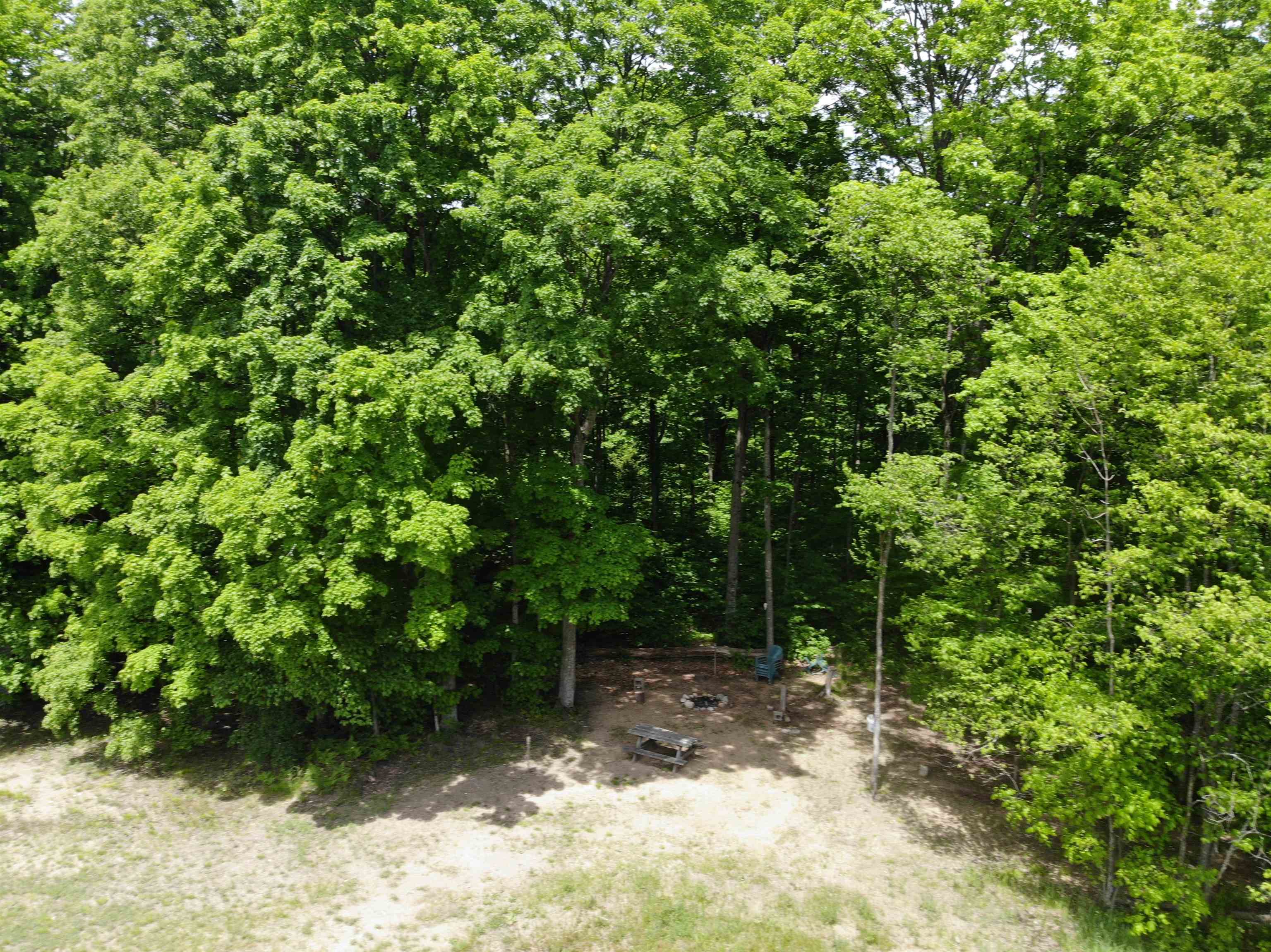 1120 Overhill Road Northwest Alden, MI 49612 - Photo 14 of 35 Gallery Image 14