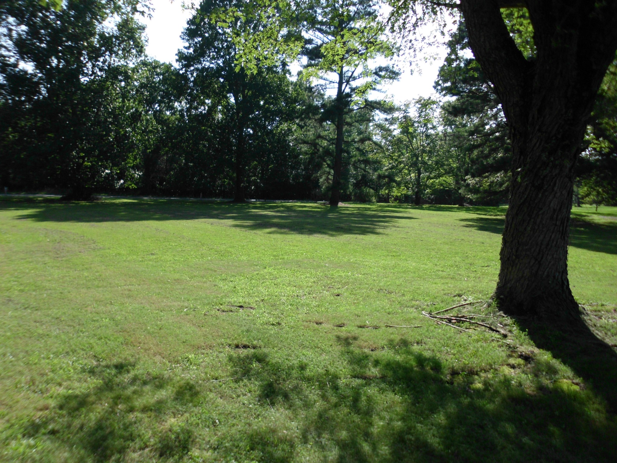 5766 Dividing Ridge Road Goodlettsville, TN 37072 - Photo 3 of 33 Gallery Image 3