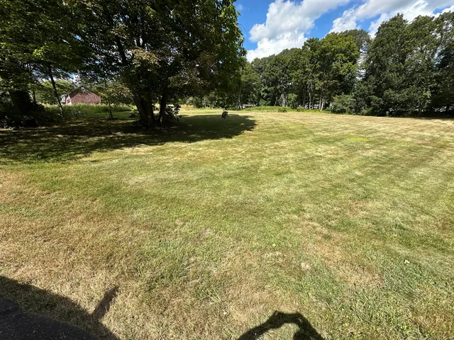 a view of yard with green space