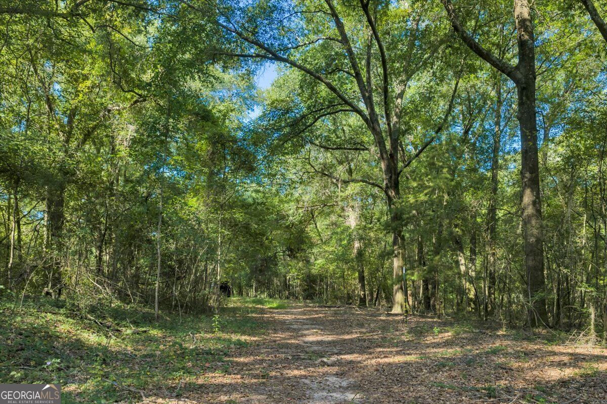 0 Airport Road Hawkinsville, GA 31036 - Photo 5 of 32 Gallery Image 5