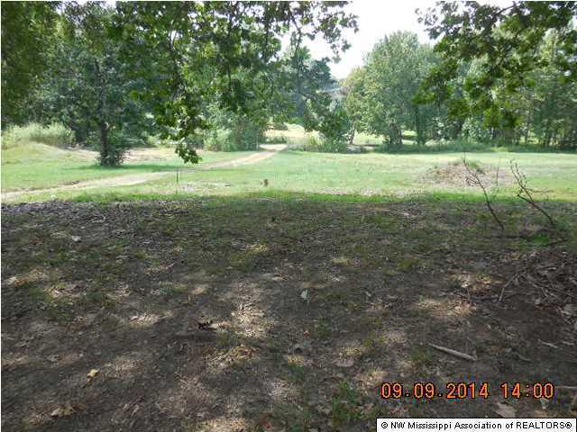 718 Arkabutla Dam Road Coldwater, MS 38618 - Photo 16 of 19 Additional Photo