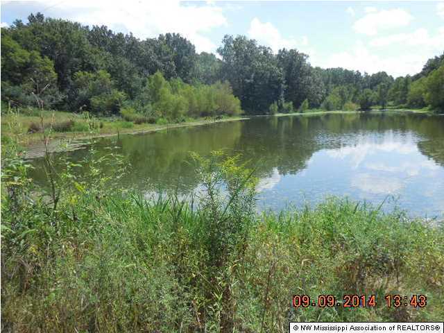 718 Arkabutla Dam Road Coldwater, MS 38618 - Photo 17 of 19 Additional Photo