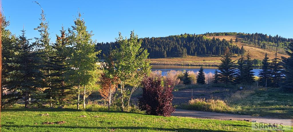 5085 Trumpeter Road Island Park, ID 83429 - Photo 8 of 52