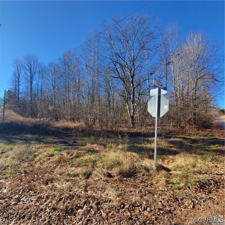 0 Poorhouse Road Rice, VA 23966 - Photo 6 of 9 Gallery Image 6