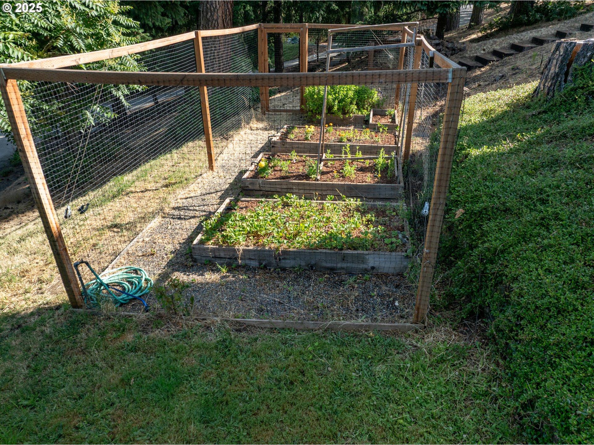 1120 Rodeo Drive White Salmon, WA 98672 - Photo 27 of 32 Garden