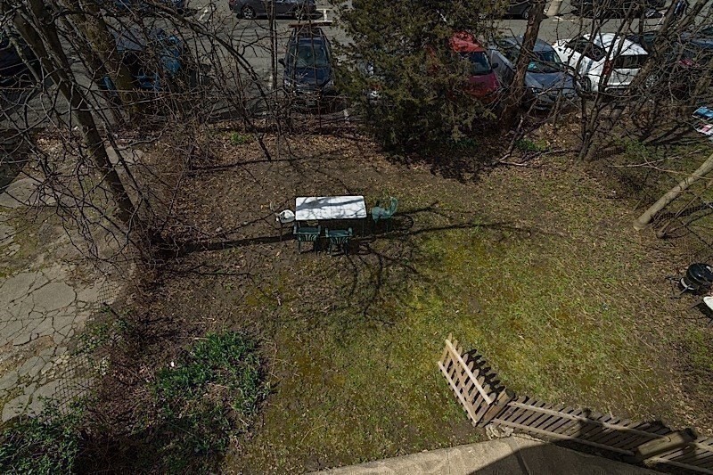 50 Holyoke Road, Unit 1 Somerville, MA 02144 - Photo 11 of 14 a view of a yard