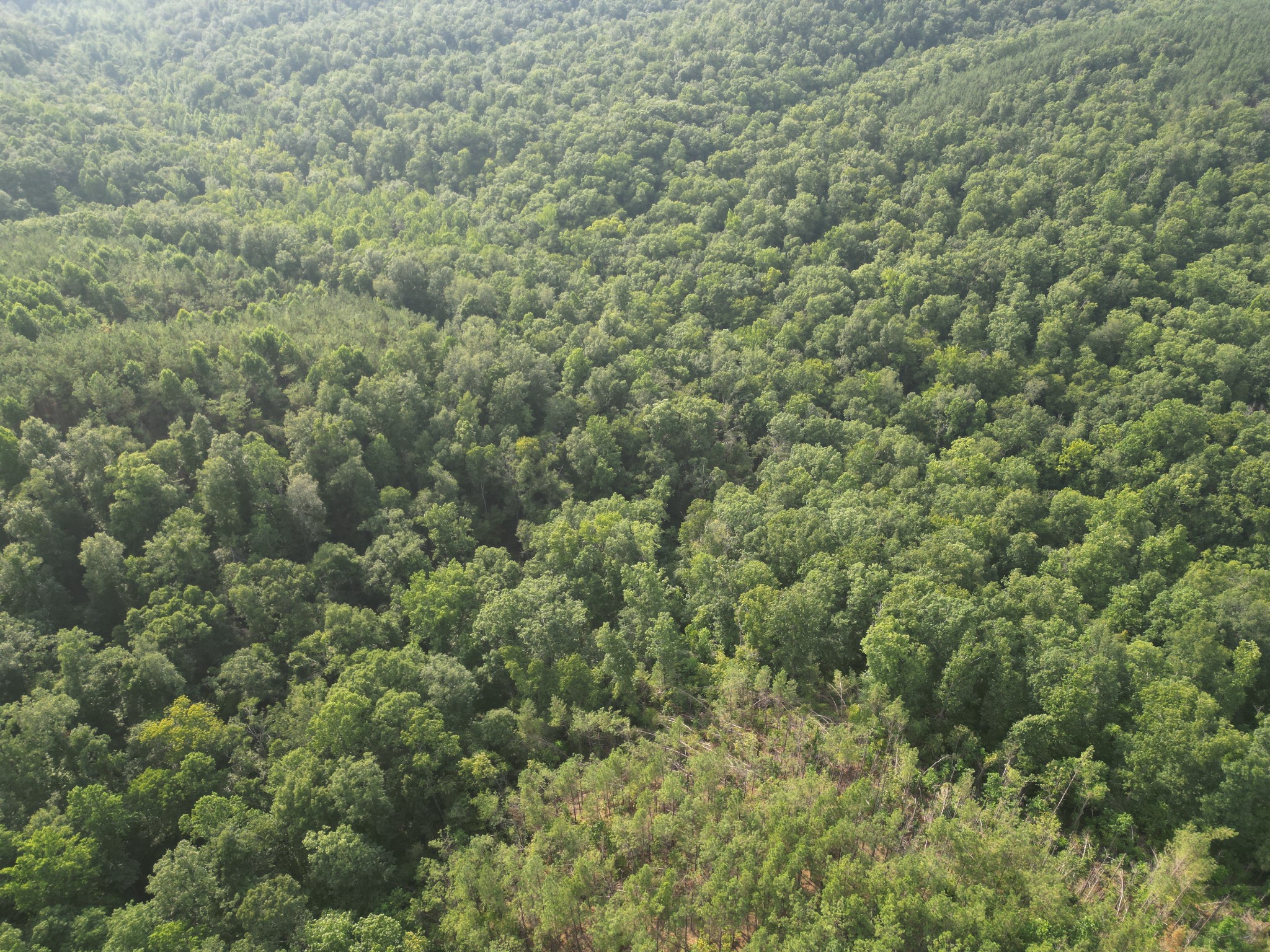 0 Toll Hollow Road Waynesboro, TN 38485 - Photo 35 of 43