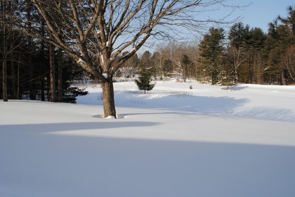 20 Card Mill Road North Berwick, ME 03906 - Photo 28 of 30 Photo