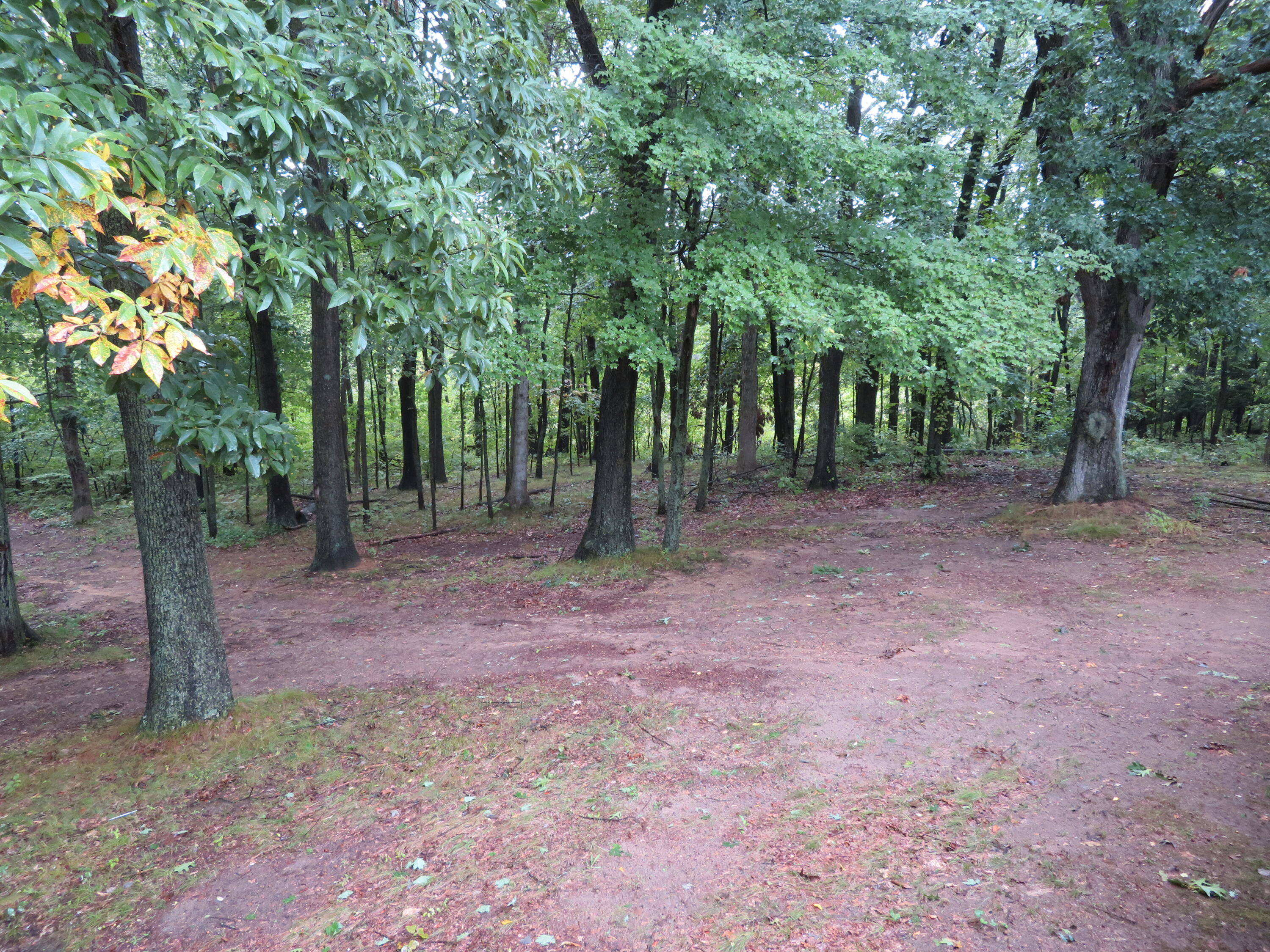 9560 North Meridian Road Pleasant Lake, MI 49272 - Photo 12 of 39 IMG_0771
