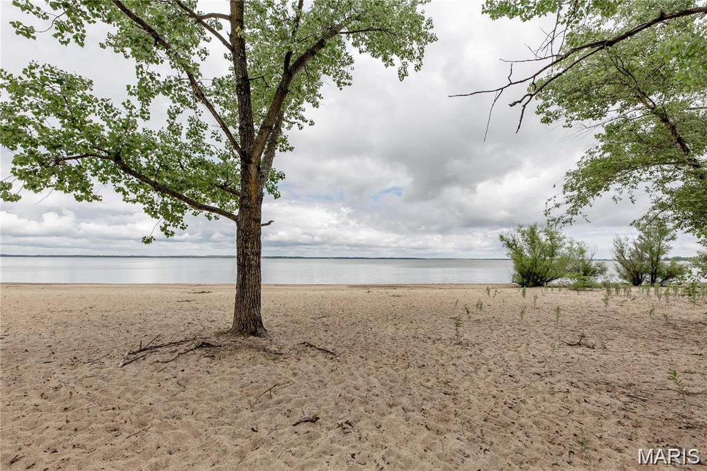 17485 Coles Creek Road Carlyle, IL 62231 - Photo 60 of 61