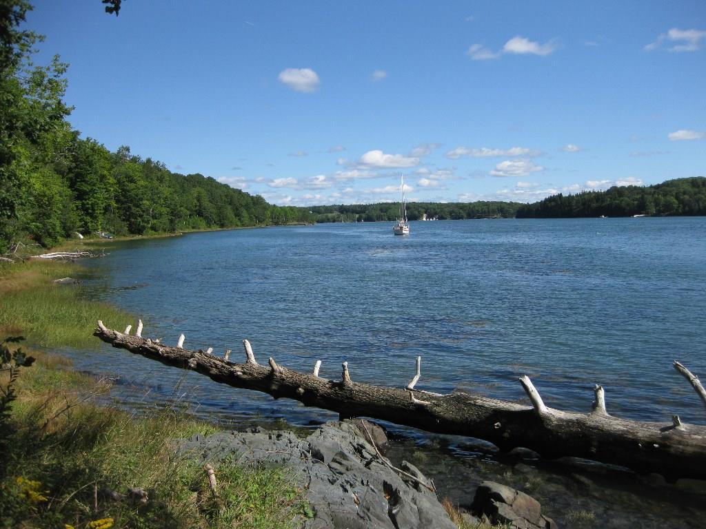 533 Castine Road Castine, ME 04421 - Photo 3 of 8 Photo