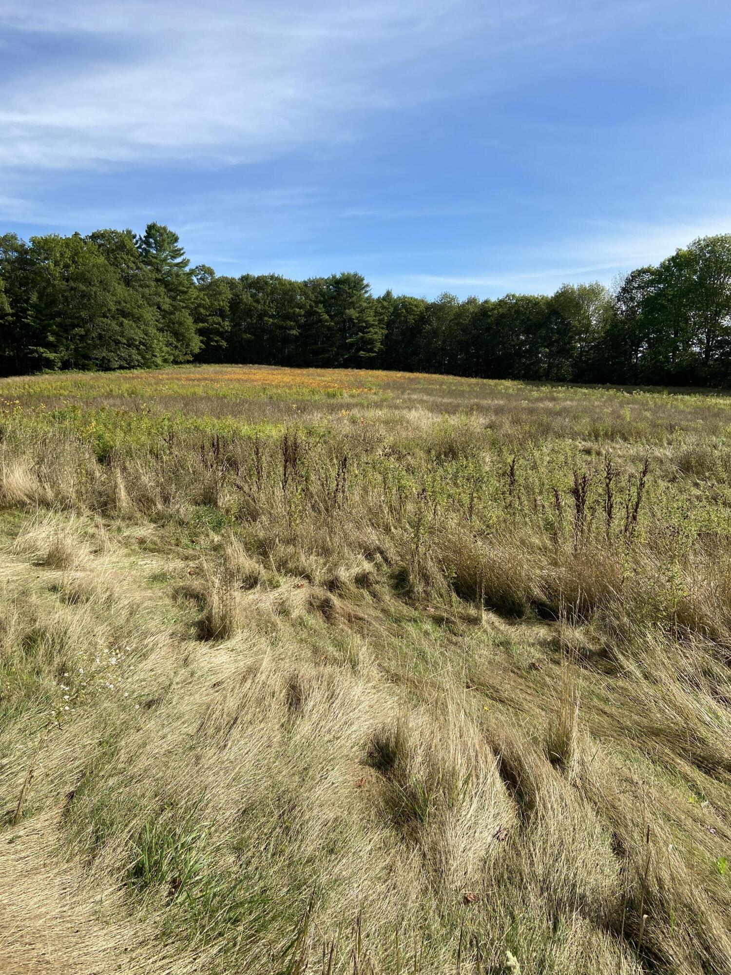 238 Dodge Road Edgecomb, ME 04556 - Photo 3 of 13 IMG_1045