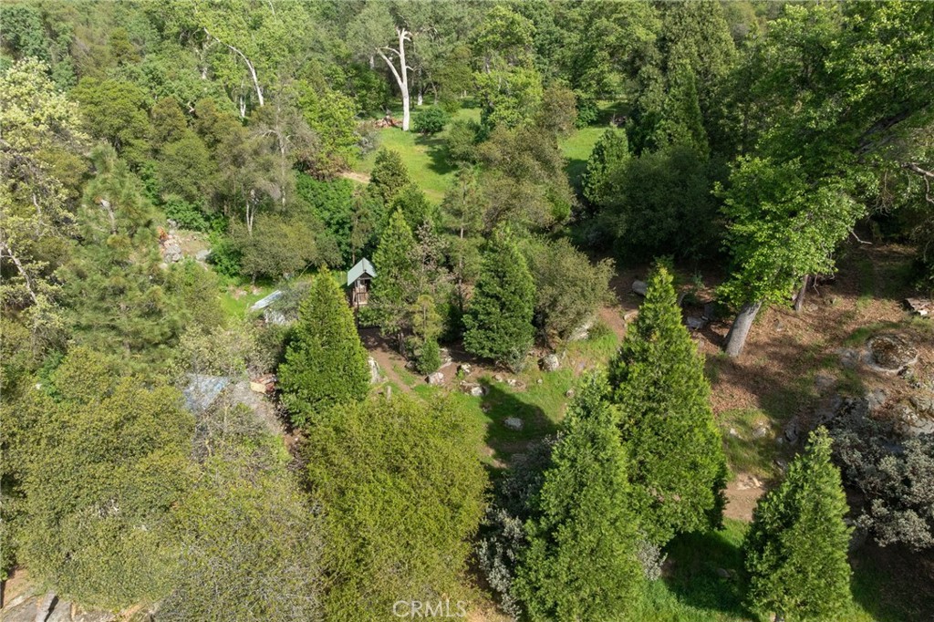 36919 Deer Path Circle Coarsegold, CA 93614 - Photo 48 of 59 a view of a forest with a tree