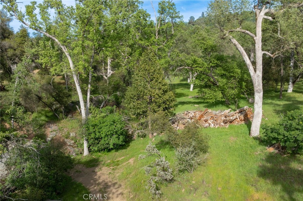 36919 Deer Path Circle Coarsegold, CA 93614 - Photo 50 of 59 a view of a trees in a yard