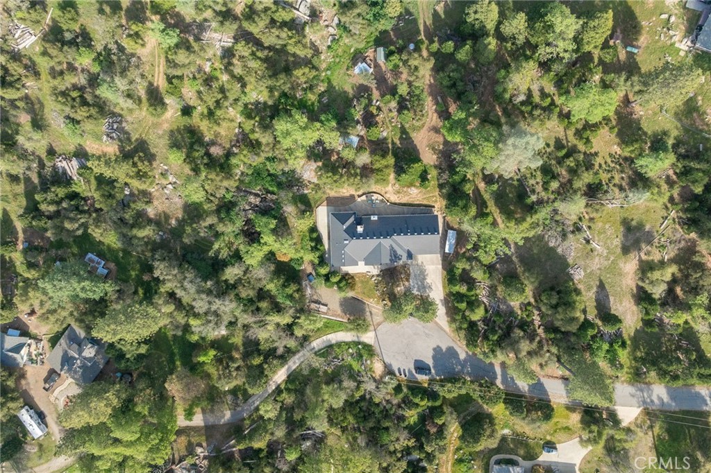 36919 Deer Path Circle Coarsegold, CA 93614 - Photo 52 of 59 a picture of a tree