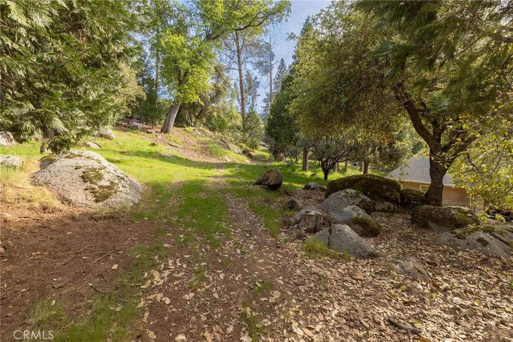 36919 Deer Path Circle Coarsegold, CA 93614 - Photo 53 of 59 a backyard of a house with a tree
