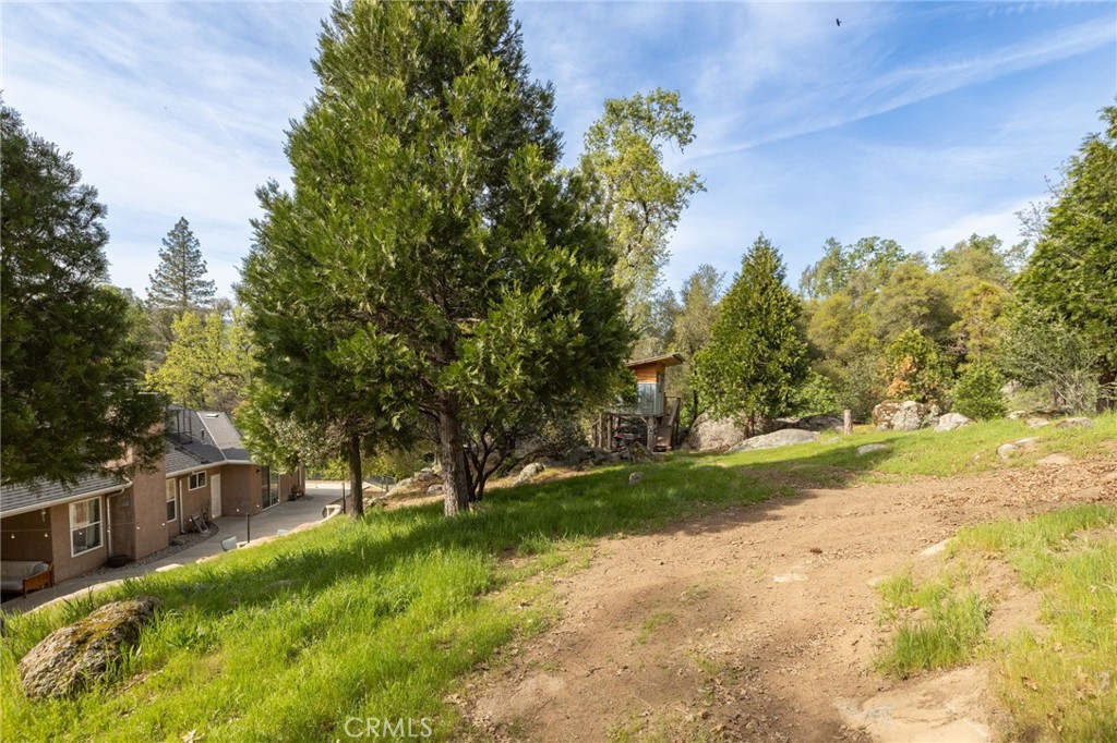 36919 Deer Path Circle Coarsegold, CA 93614 - Photo 54 of 59 a view of backyard with green space