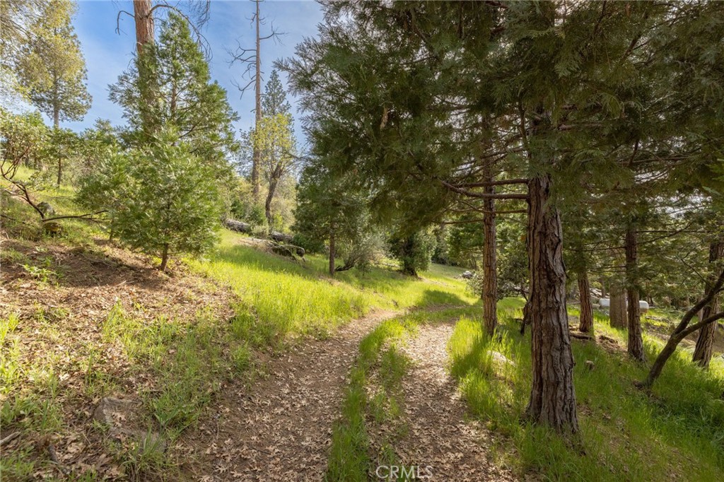 36919 Deer Path Circle Coarsegold, CA 93614 - Photo 55 of 59 a view of yard from a yard