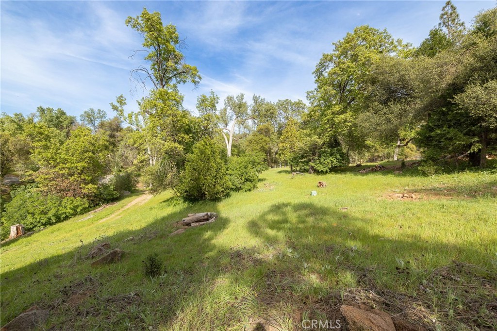36919 Deer Path Circle Coarsegold, CA 93614 - Photo 56 of 59 a view of yard with green space