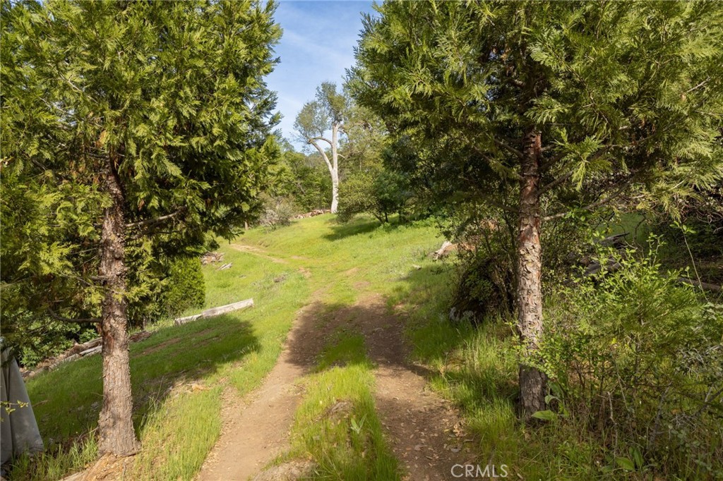 36919 Deer Path Circle Coarsegold, CA 93614 - Photo 57 of 59