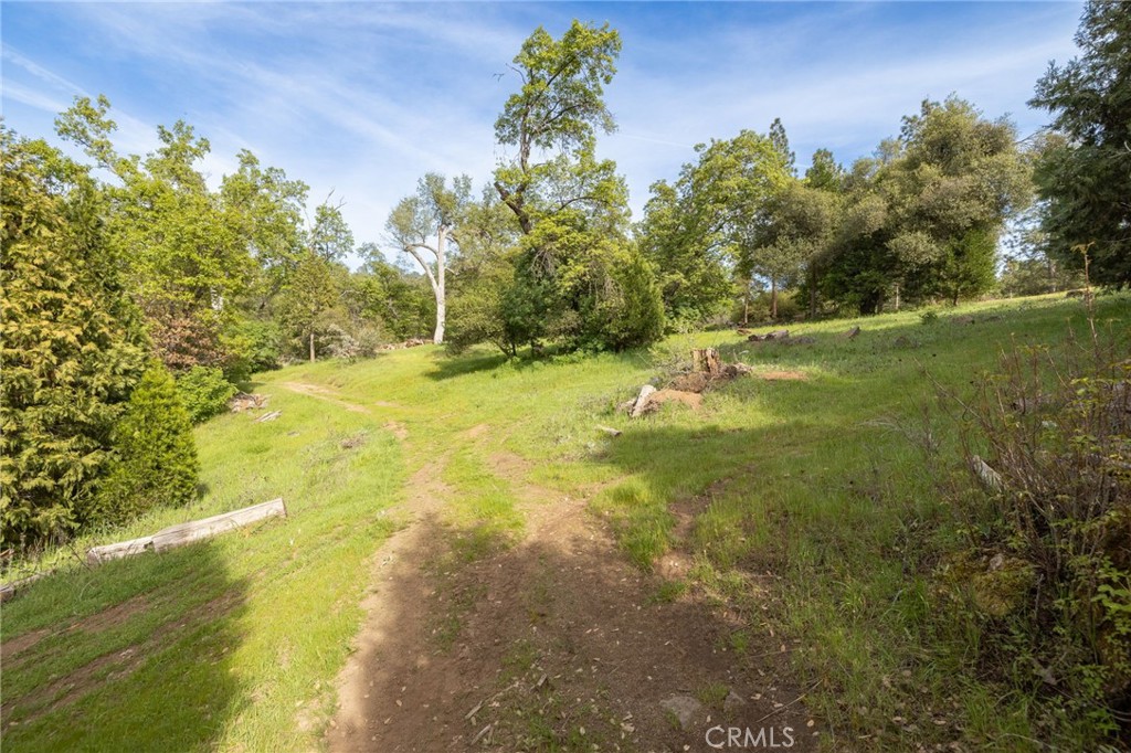 36919 Deer Path Circle Coarsegold, CA 93614 - Photo 58 of 59 a view of a trees with a yard