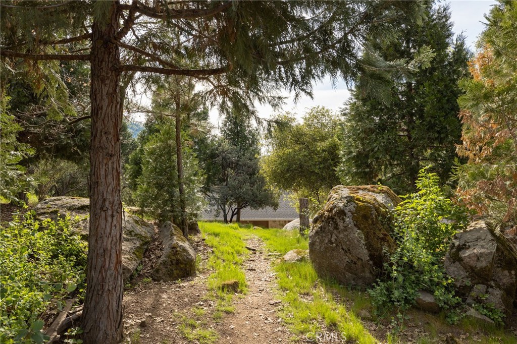 36919 Deer Path Circle Coarsegold, CA 93614 - Photo 59 of 59 a view of a yard