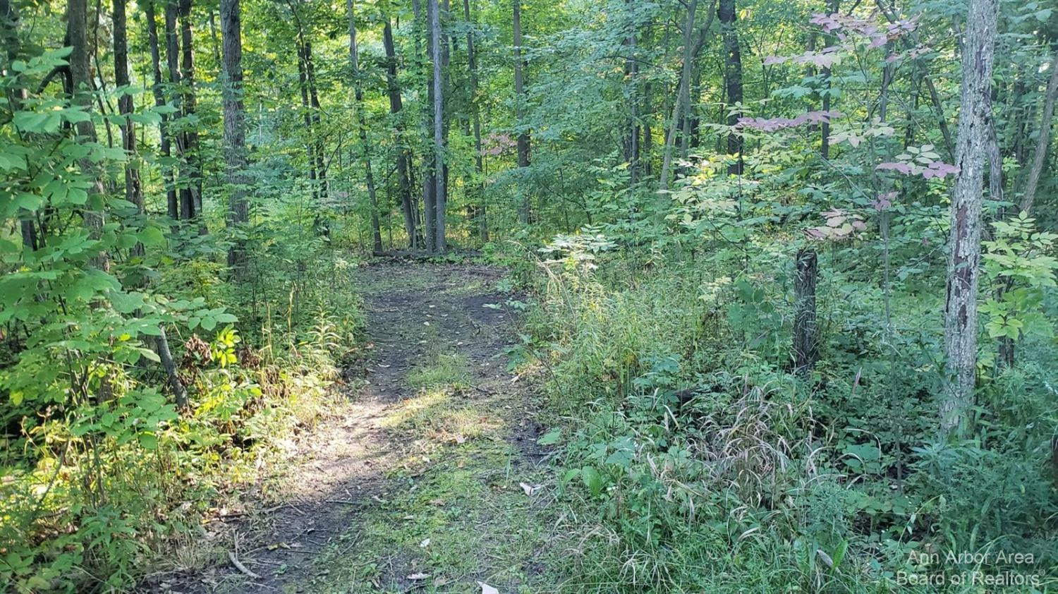 1405 Shepherd Road Tecumseh, MI 49286 - Photo 39 of 39 Photo 39