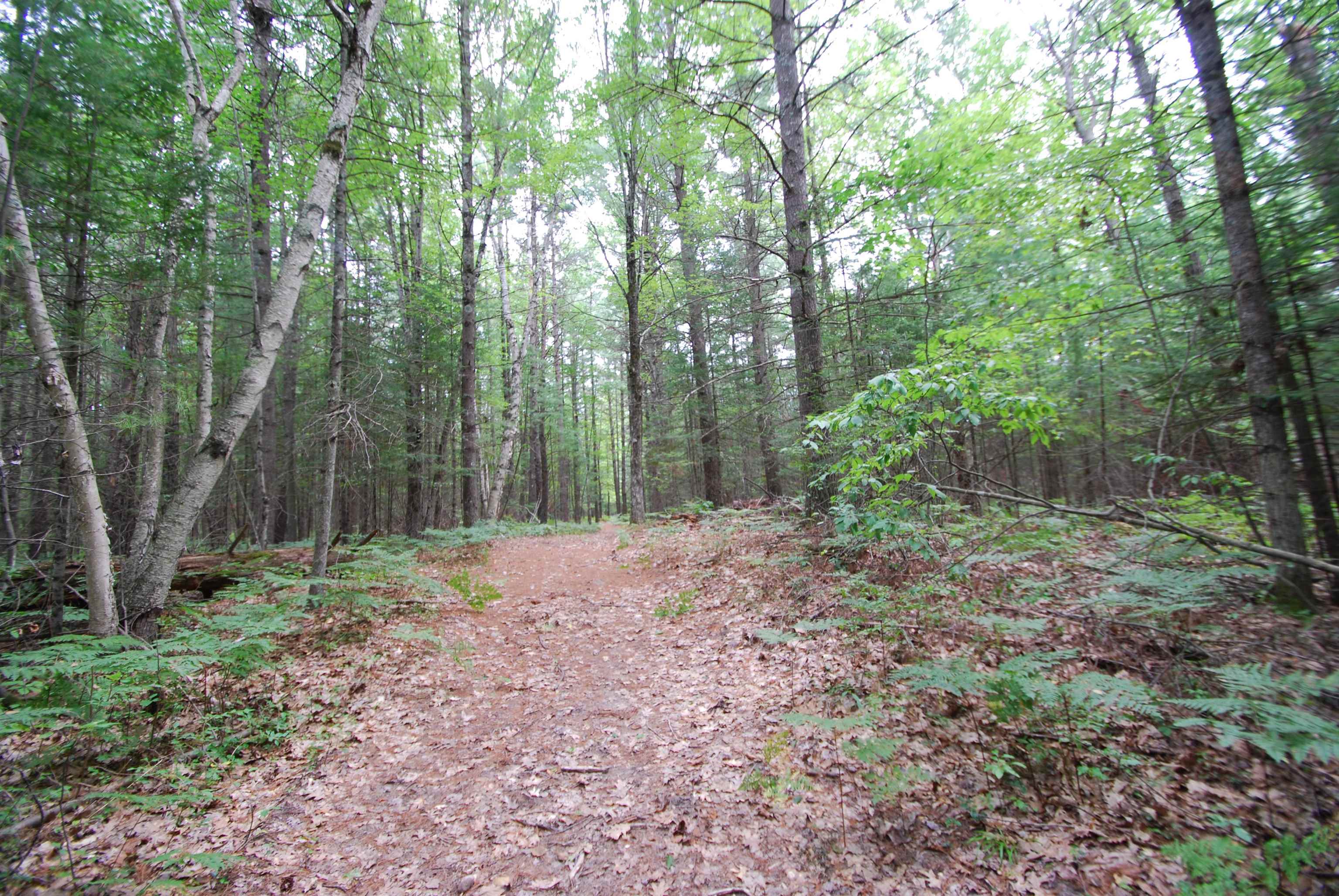 2782 River Ridge Road Alger, MI 48610 - Photo 11 of 81 1938222-e6e75d19-487f-404e-a97d-f53d31cb995e.JPG