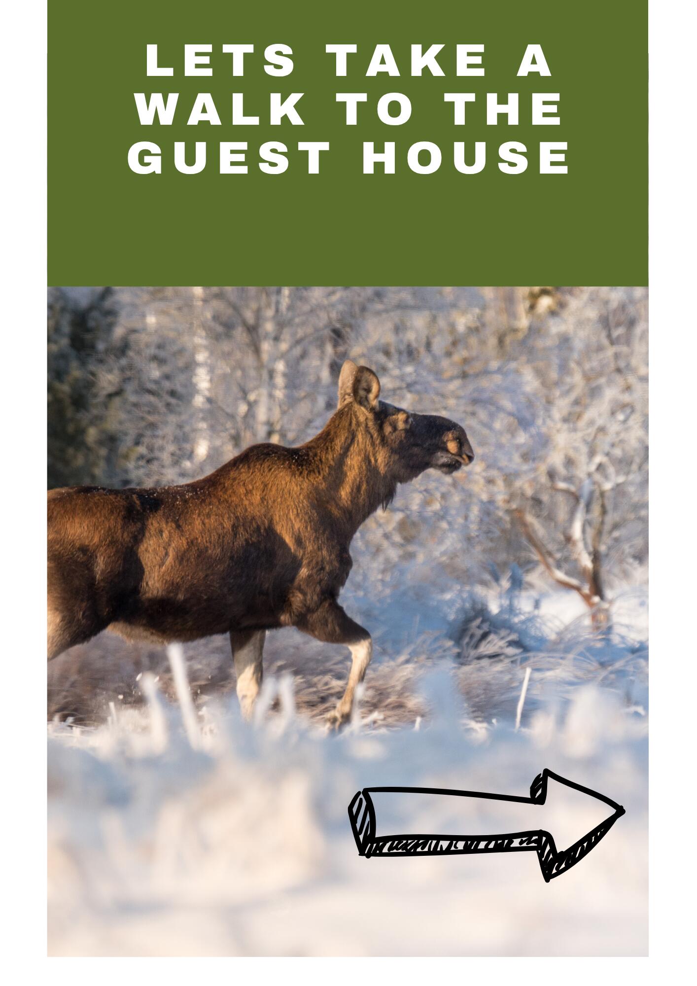 1497 Sly Brook Road Eagle Lake, ME 04739 - Photo 36 of 44 2