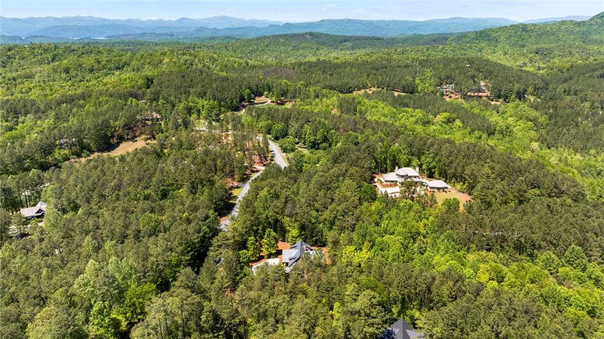 203 Golden Bear Drive Sunset, SC 29685 - Photo 48 of 50