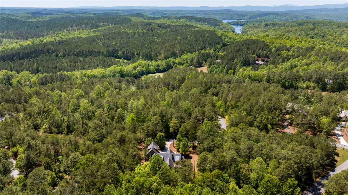 203 Golden Bear Drive Sunset, SC 29685 - Photo 49 of 50