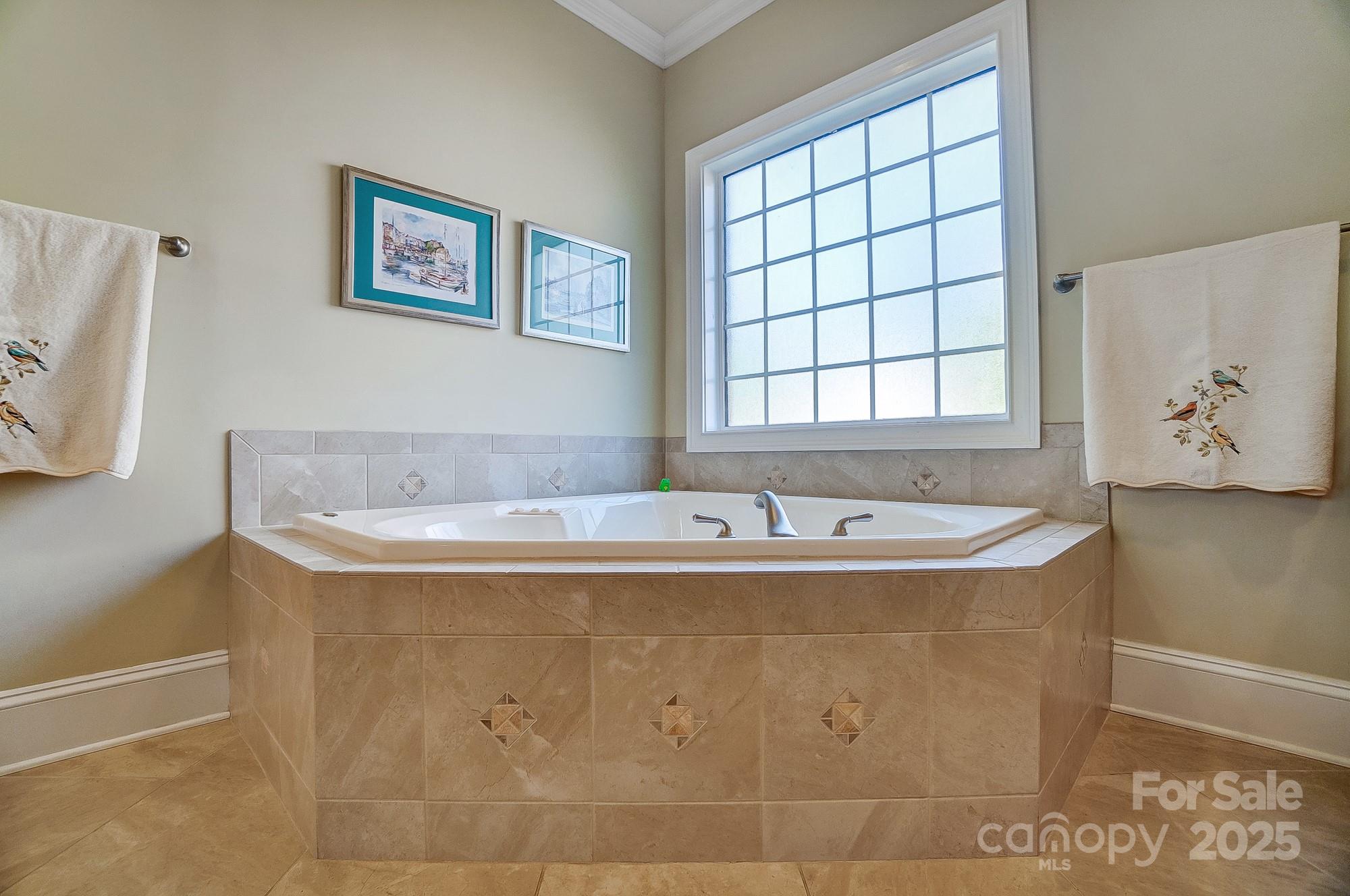 928 Thorn Ridge Lane Clover, SC 29710 - Photo 15 of 48 Gallery Image 15