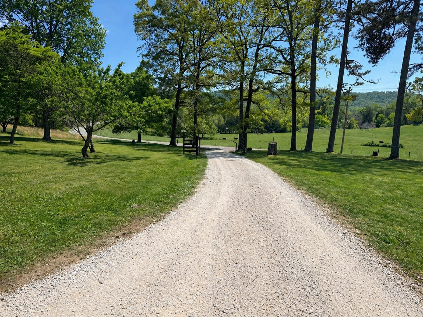 138 Keylon Hollow Road Ten Mile, TN 37880 - Photo 8 of 52 Gallery Image 8