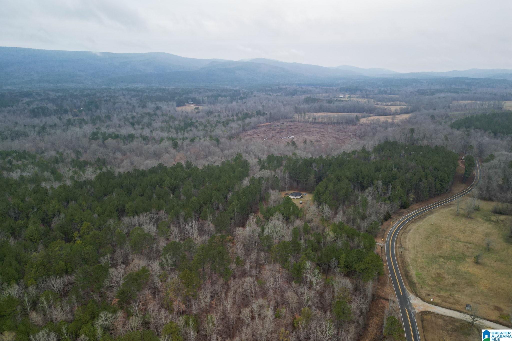 0 Highway 49 Lineville, AL 36266 - Photo 17 of 18