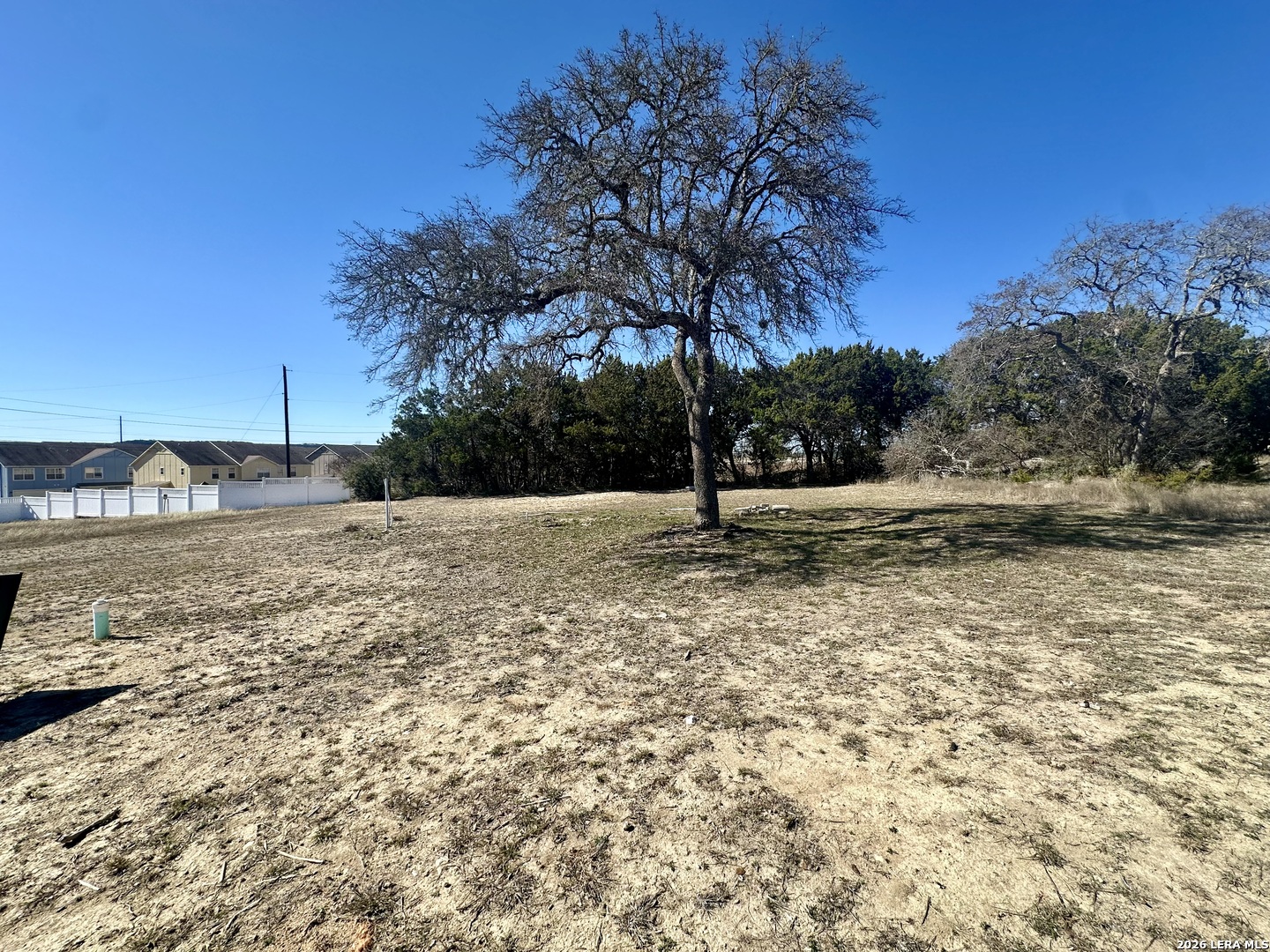 a view of a yard with a tree